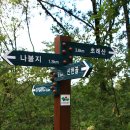 내곡동637 | 대구 초례봉 산행(2018.10.08) - 다시 본격 산행을 시작할 수 있으려나...