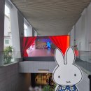 전시체험 「열려라 마법 숲」 | 부산 미피와 마법 우체통 전시 팝업스토어 광안리 방문후기