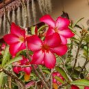 큐브호텔 이미지