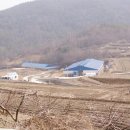 축사 신축공사 Daum카페