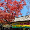 소소산식벌교식당 네이버블로그