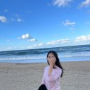 금천바다민박 | 가을 강릉 여행 안목해변 호텔 파인아트라벨 스탠다드 더블룸 찐후기, 가격