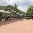 문경 철로자전거(구랑리역) 이미지