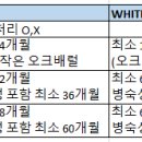 라그라피카 이미지