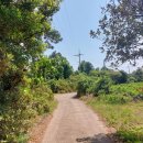 온평리-8 이미지