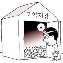 [만물상] 치매의 과학 이미지