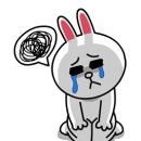 성신동물병원 이미지