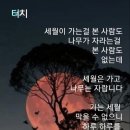 족보삼 이미지