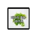 빛살과학 이미지