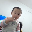 도미노피자만수점 이미지