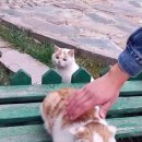 쓰담 이미지