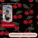 청춘푸드(평택점) | 손에 쥐어 터트리고 싶지