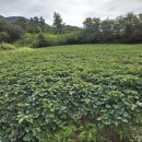미륵산골 네이버블로그