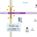 여의도튼튼척의원 이미지