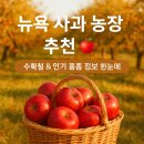 (주)파이엔터테인먼트 | 뉴욕 사과 농장 체험 — 허드슨 밸리의 가을, 사과 품종과 수확 정보 총정리