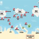 제주스쿠버스쿨 스쿠버다이빙 이미지