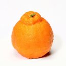 태평로353번길 이미지