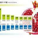 신영플러스 이미지
