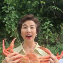 카멜스테이