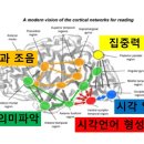 노원아이심리상담센터