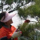 조경기능사 필기과정 이미지