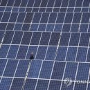 비전1 태양광발전소 이미지