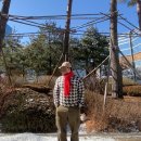 어썸데일리