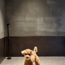 삼성점기아오토큐 이미지