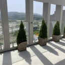 솔올파크 이미지