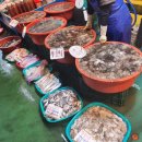 해삼농장 이미지