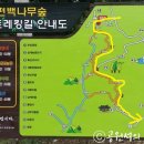 태청산 편백나무숲 트레킹길 이미지