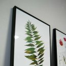 자연설렘 이미지