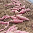 무너미농장 이미지