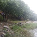 골짜구니 야영장 이미지