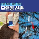 우정마샹스 오피스텔 | 신촌 두피 모앤영 신촌 두피 스케일링 보습 영양 관리 후기