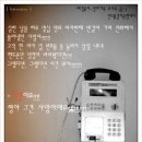 솔명 이미지