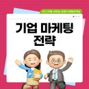 최블마케팅전문직브랜드블로그 | 기업 마케팅 전략 성공의 열쇠 브랜드 블로그 제작부터 웹사이트 상위노출까지