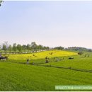 청록농장 이미지