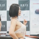 오토쉴드 이미지