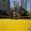 늘푸른어린이집 놀이터 이미지