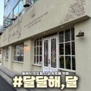 달달해(DALDALHAE) | [동해시] 유럽풍 베이커리 카페 “달달해,달”🦦