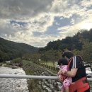 대권오토야영캠핑장 | 울산 울주군 캠핑장 추천｜작괘천 오토캠핑장 6번 사이트 솔직후기