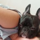 대한가축약품 이미지