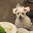 썬하우스 이미지