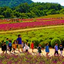 만물농원 이미지