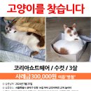 가출 Daum카페