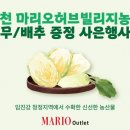 사은농장 이미지