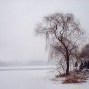 기악교실 이미지