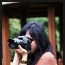 대관령사슴목장 이미지