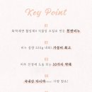 벨하이솝 이미지